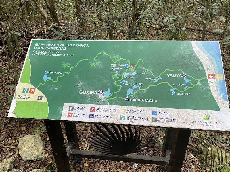 Indigenous Eyes Ecological Park