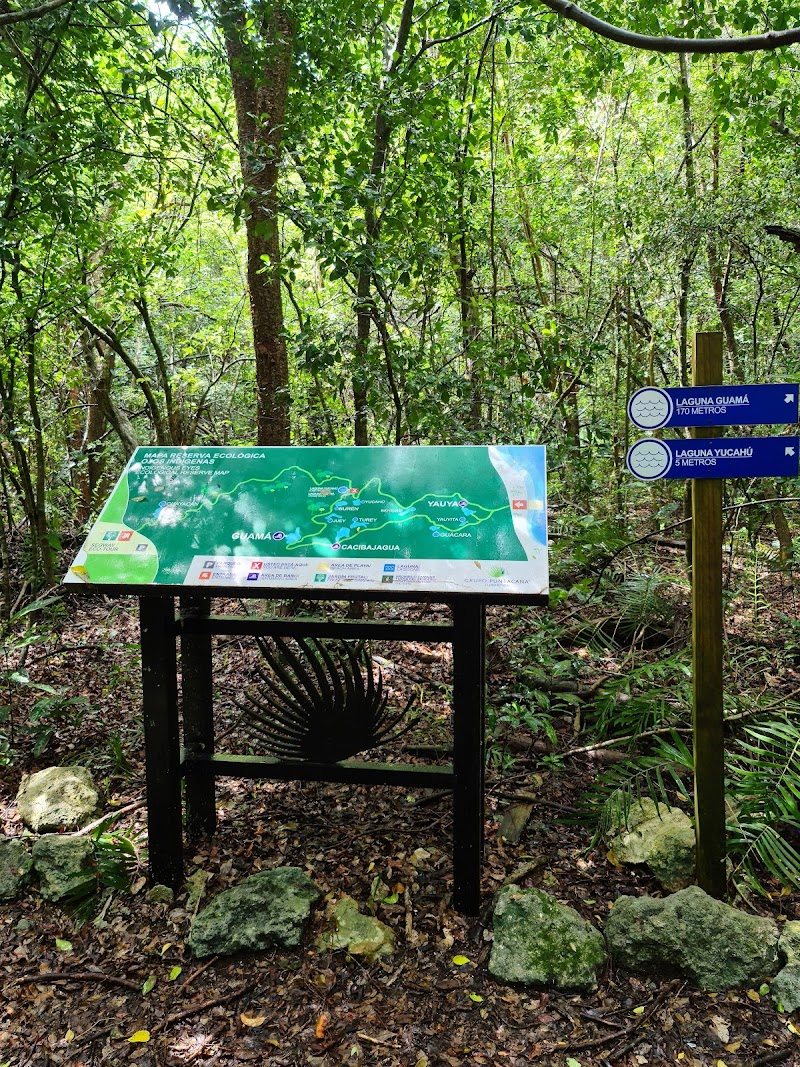 Indigenous Eyes Ecological Park