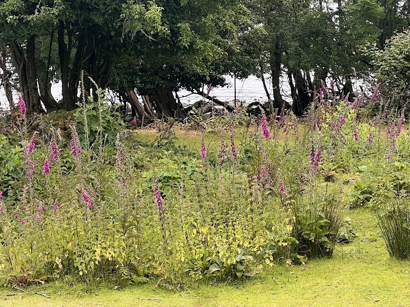 Innisfallen Island