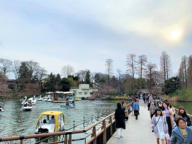 Inokashira Park
