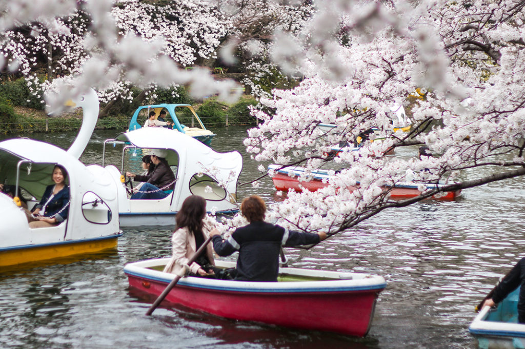 Inokashira Park