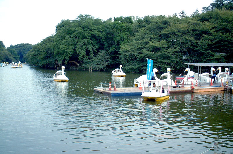 Inokashira Park