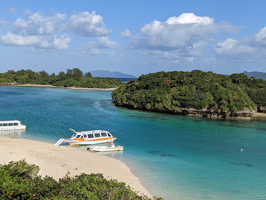 Iriomote Island Day Trip