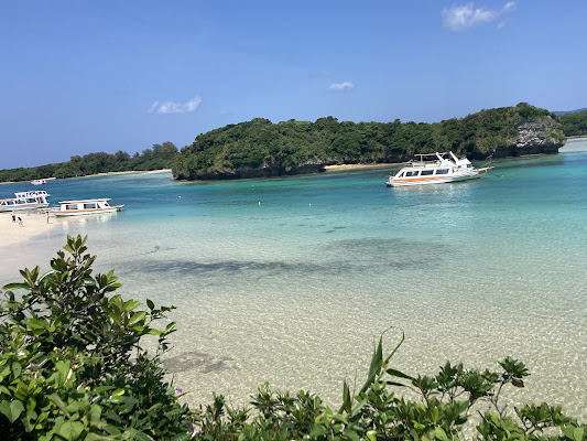 Iriomote Island Day Trip