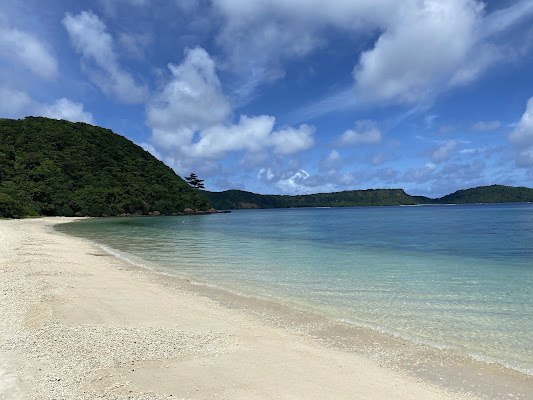 Iriomote Island Day Trip