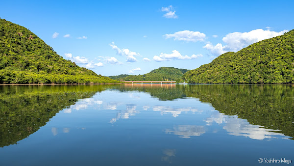 Iriomote Island Day Trip