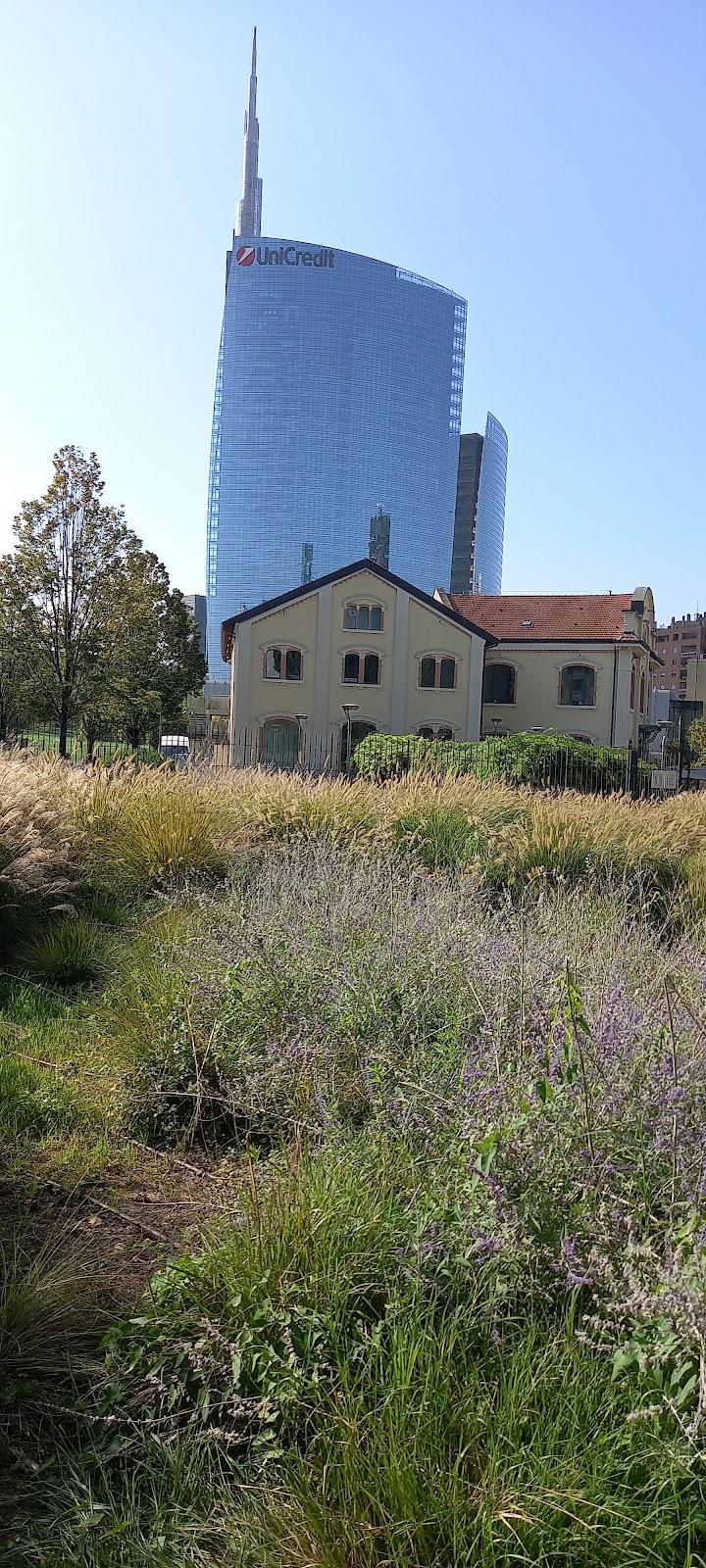 Isola