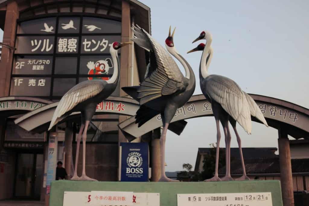 Izumi Crane Watching