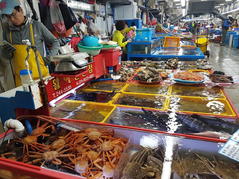 Jagalchi Fish Market