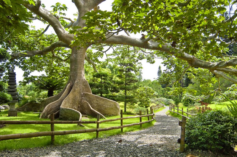 Jardín Botánico Nacional
