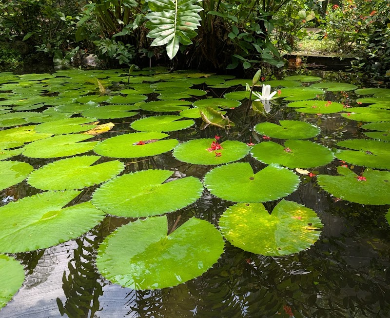 Jardín Botánico Nacional