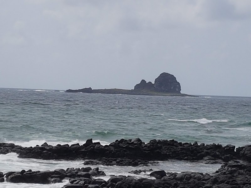 Jeju Submarine Tour