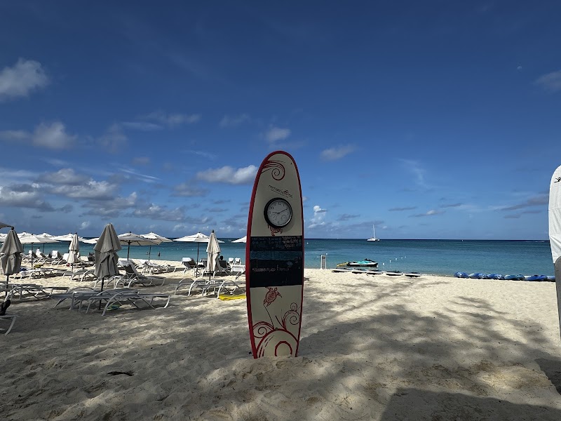 Jet Ski Tour