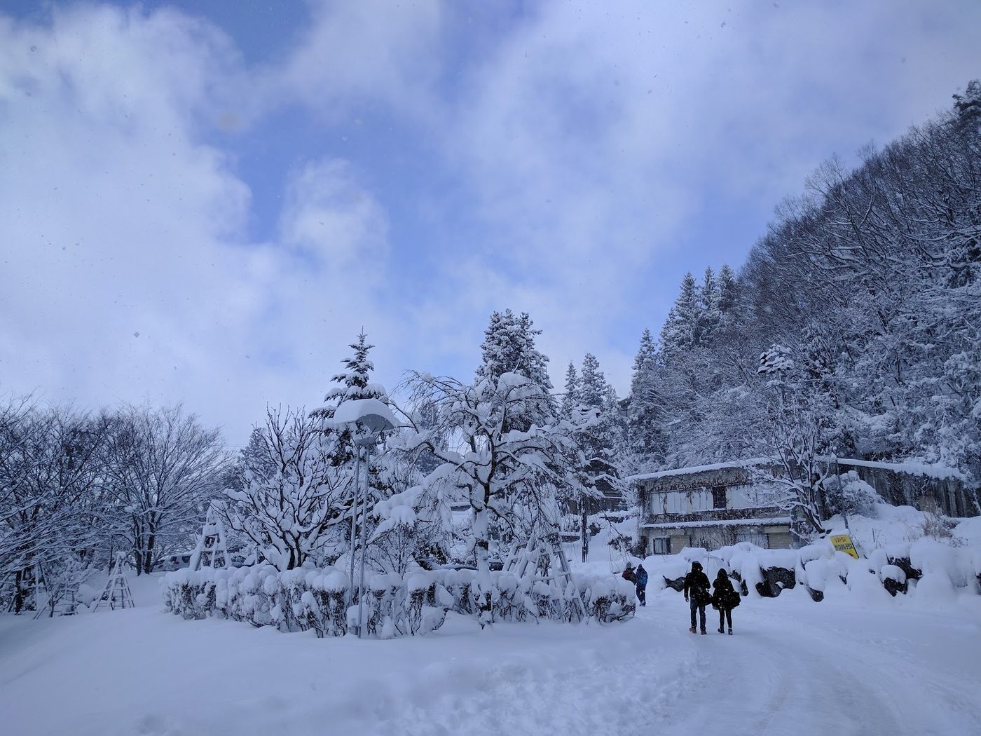 Jigokudani Snow Monkey Express Bus