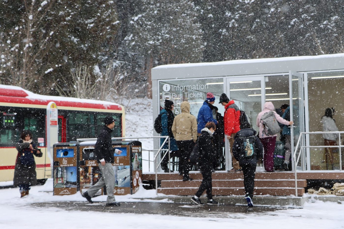 Jigokudani Snow Monkey Express Bus