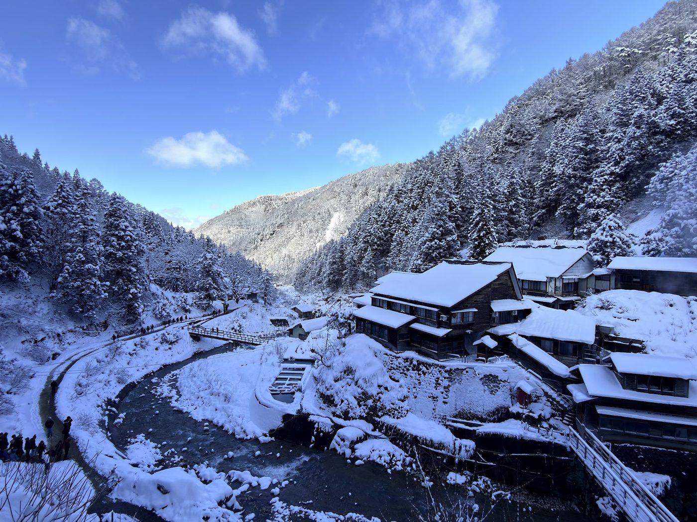 Jigokudani Snow Monkey Onsen Bath