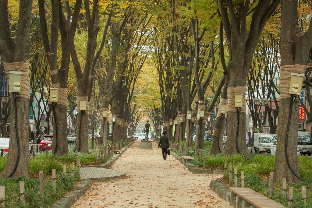 Jozenji-dori Avenue