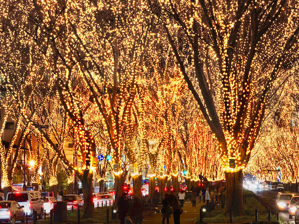 Jozenji-dori Avenue