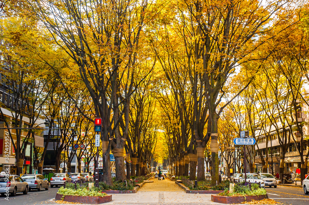 Jozenji-dori Avenue