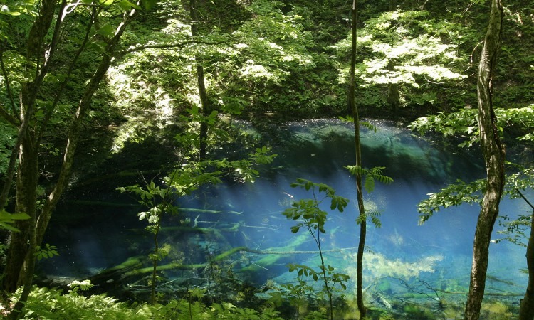 Juniko (Twelve Lakes)