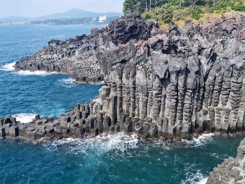 Jusangjeolli Cliff (Columnar Joints)
