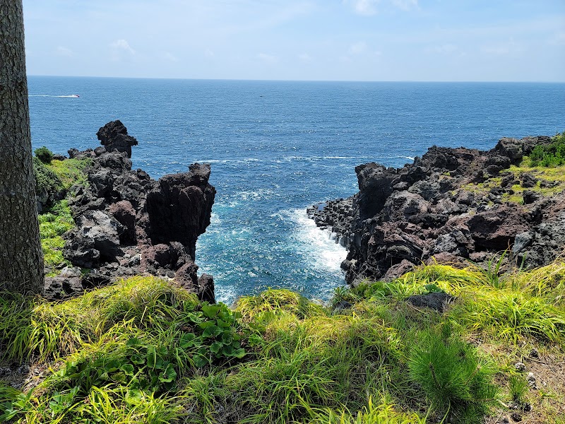 Jusangjeolli Cliff (Columnar Joints)