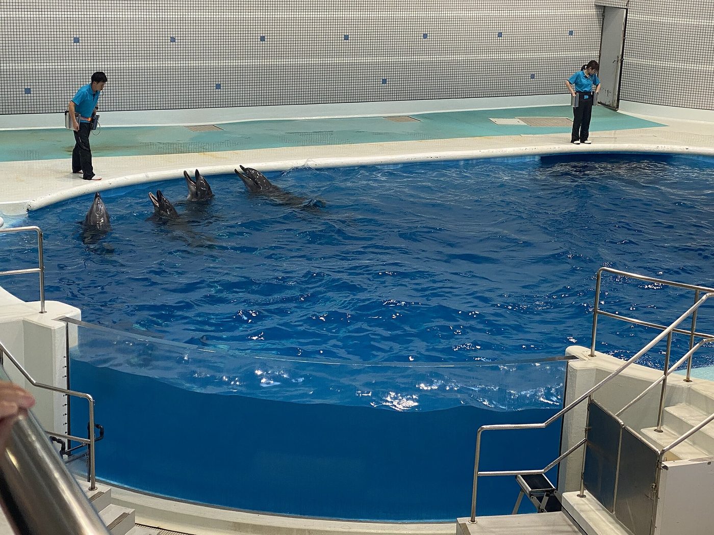 Kagoshima Aquarium