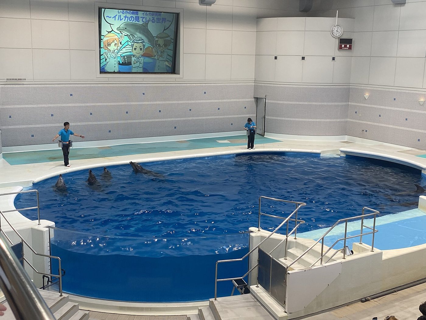 Kagoshima Aquarium