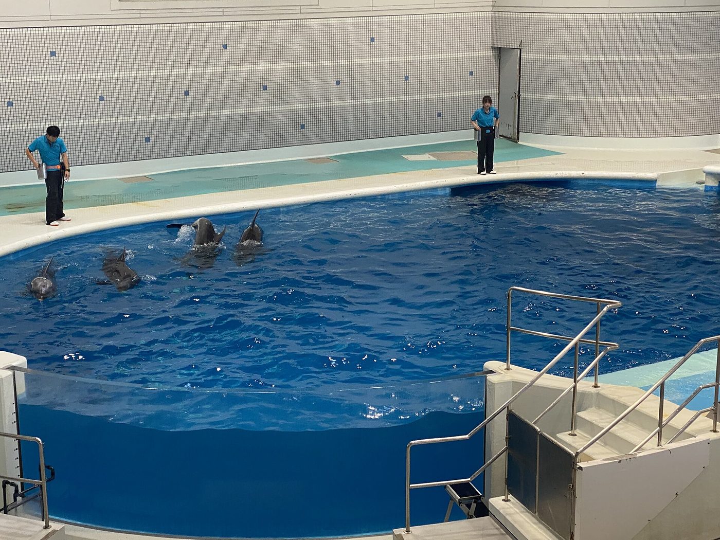 Kagoshima Aquarium