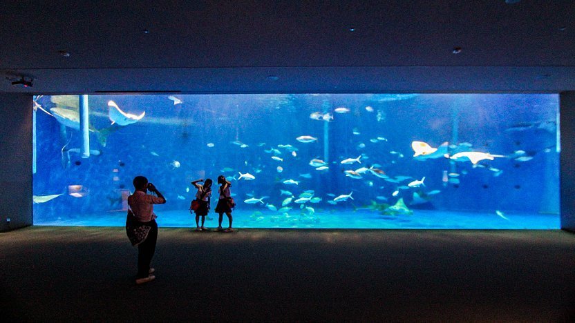 Kagoshima City Aquarium (Io World)