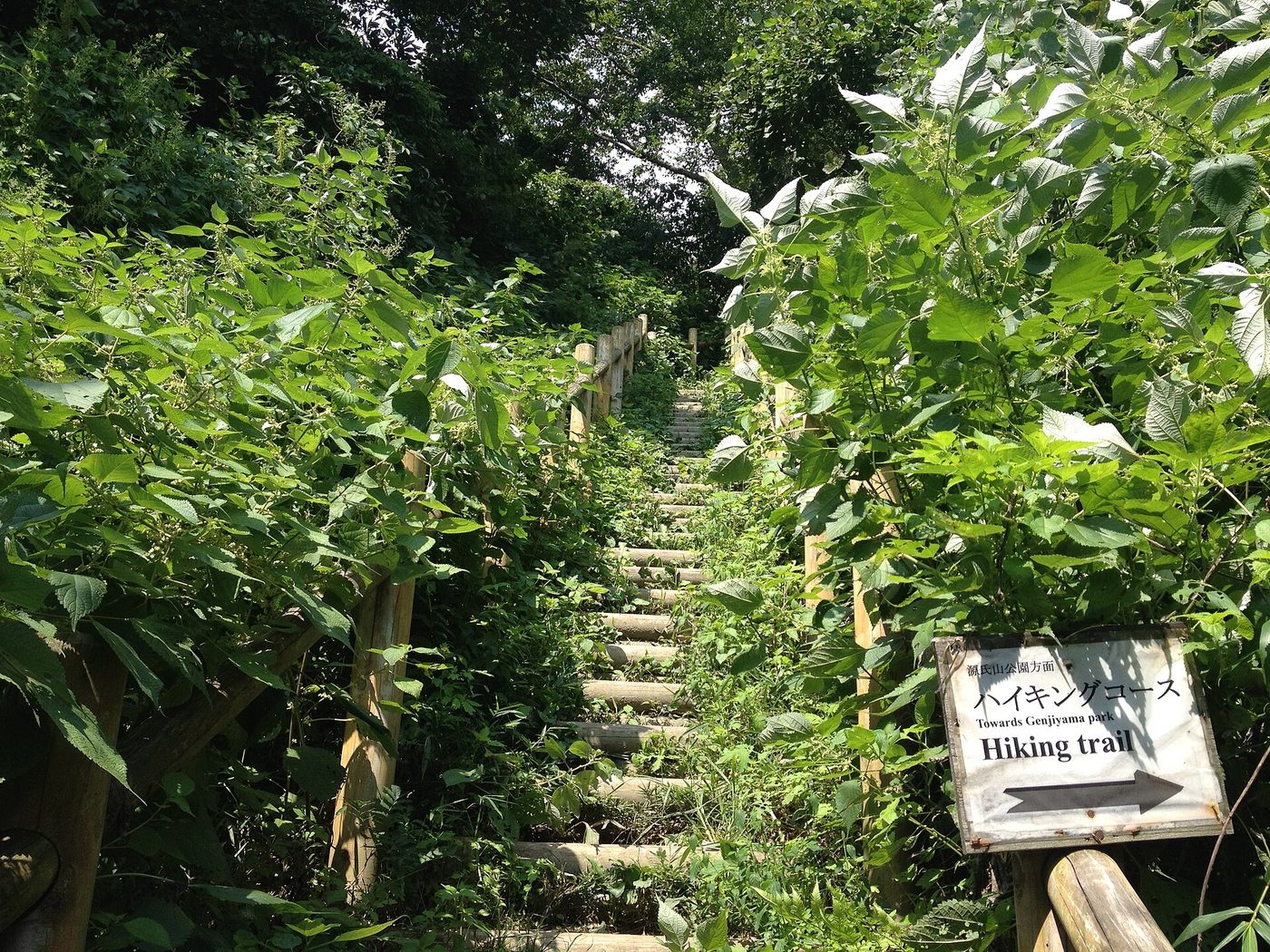Kamakura Hiking Trail