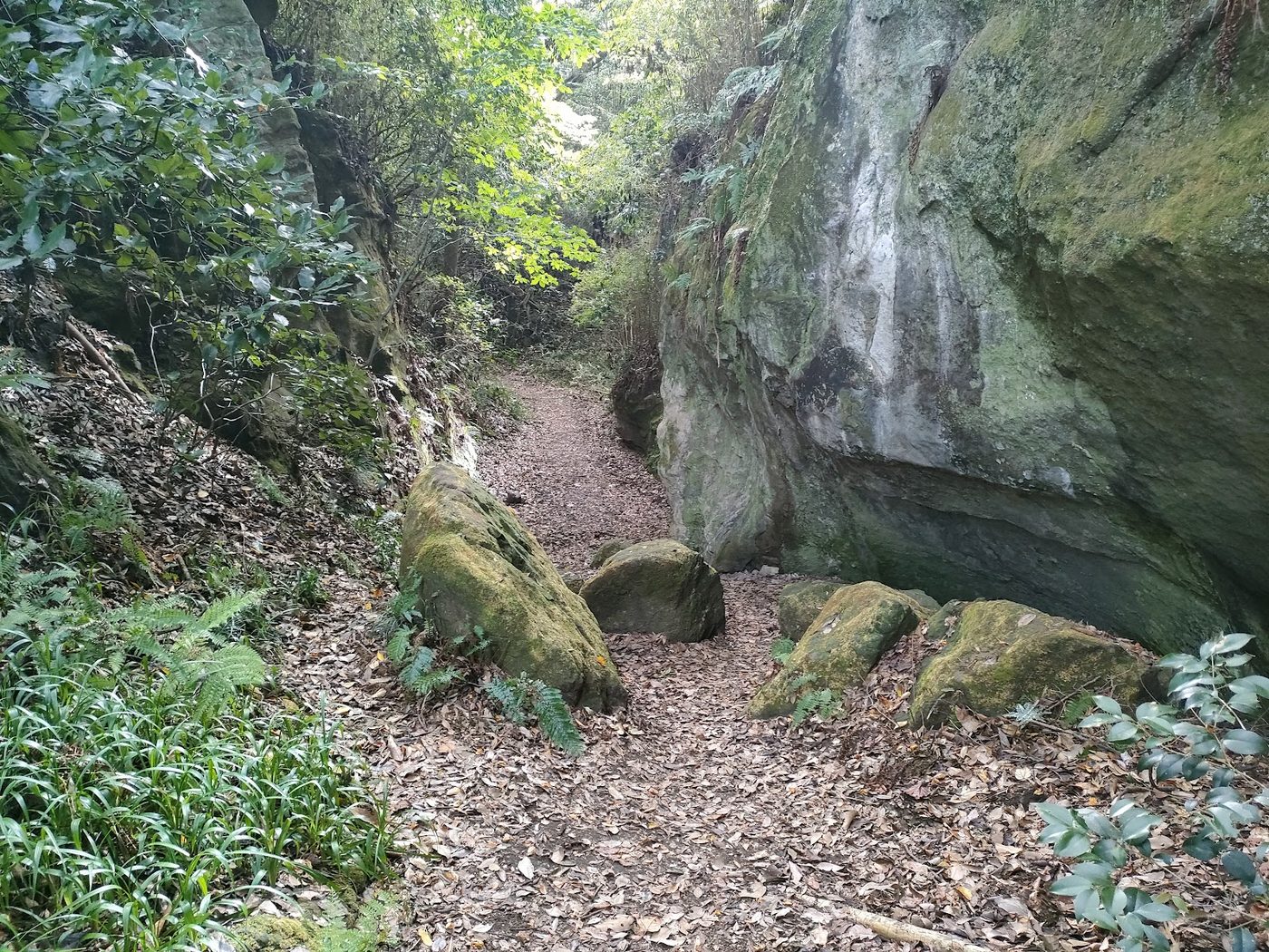 Kamakura Hiking Trail