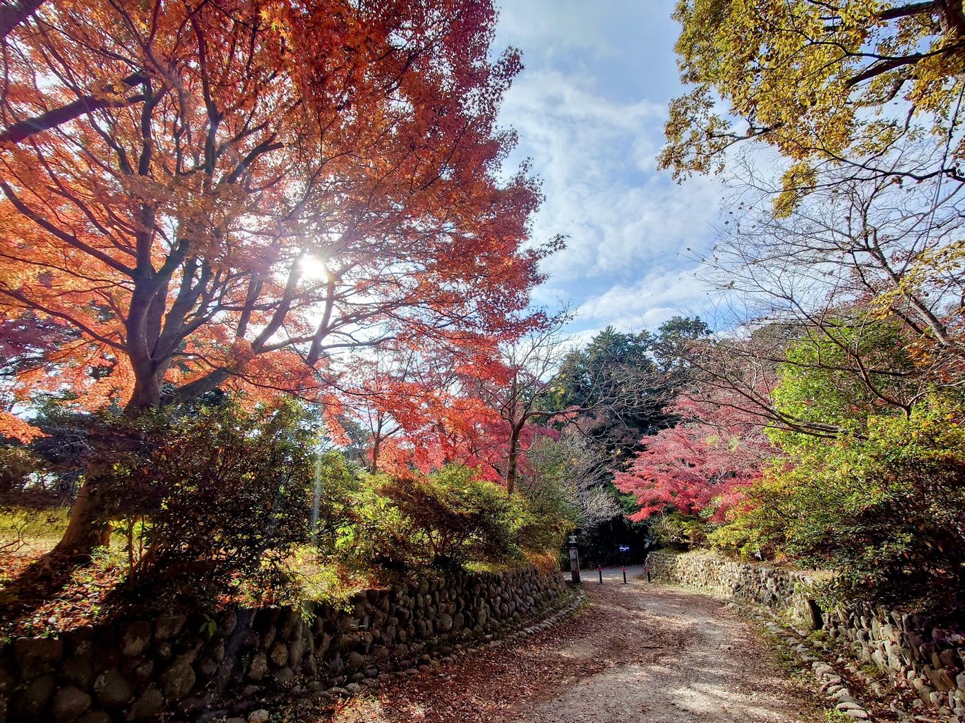 Kamakura Hiking Trail