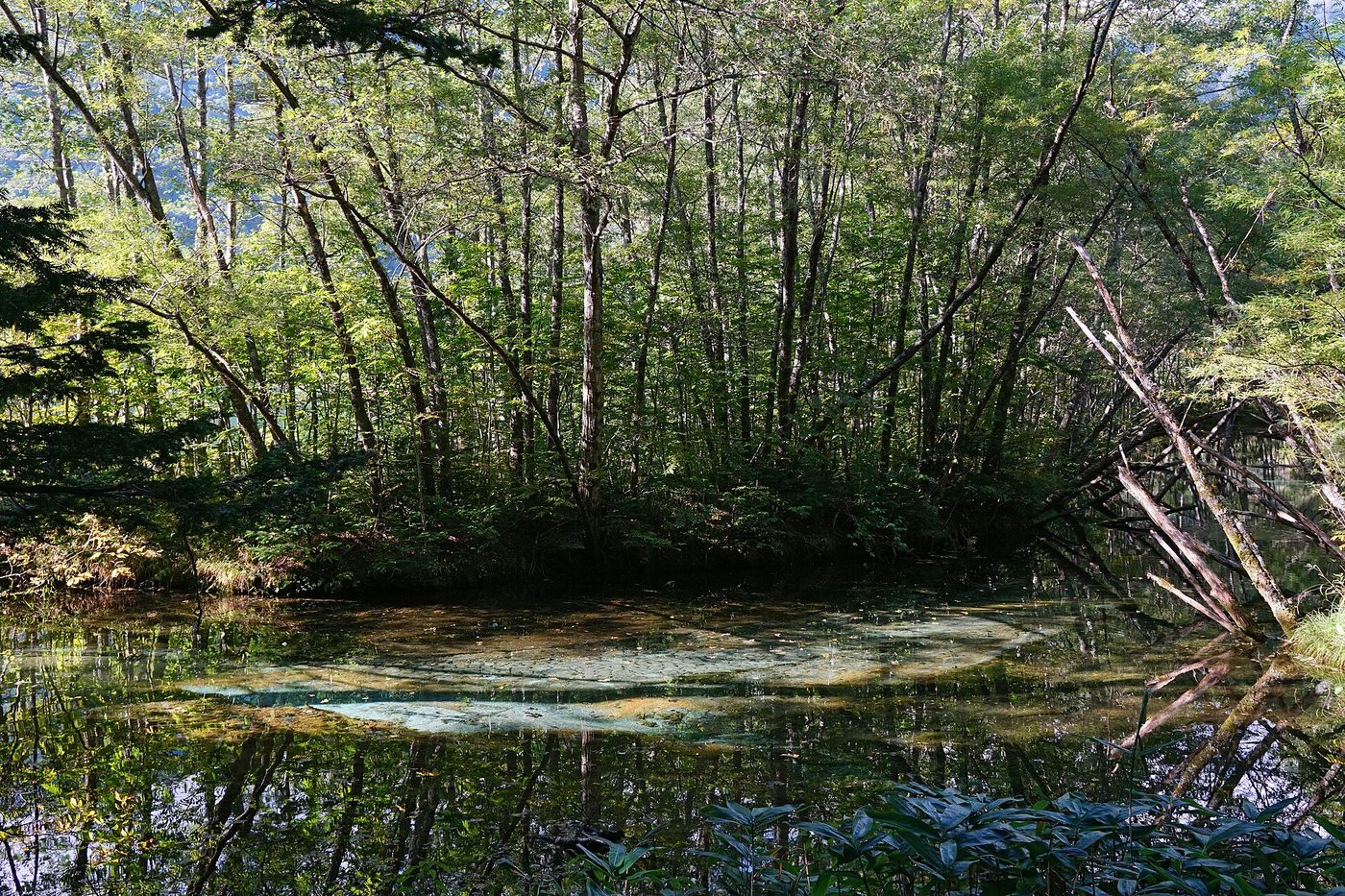 Kamikochi Taisho Pond