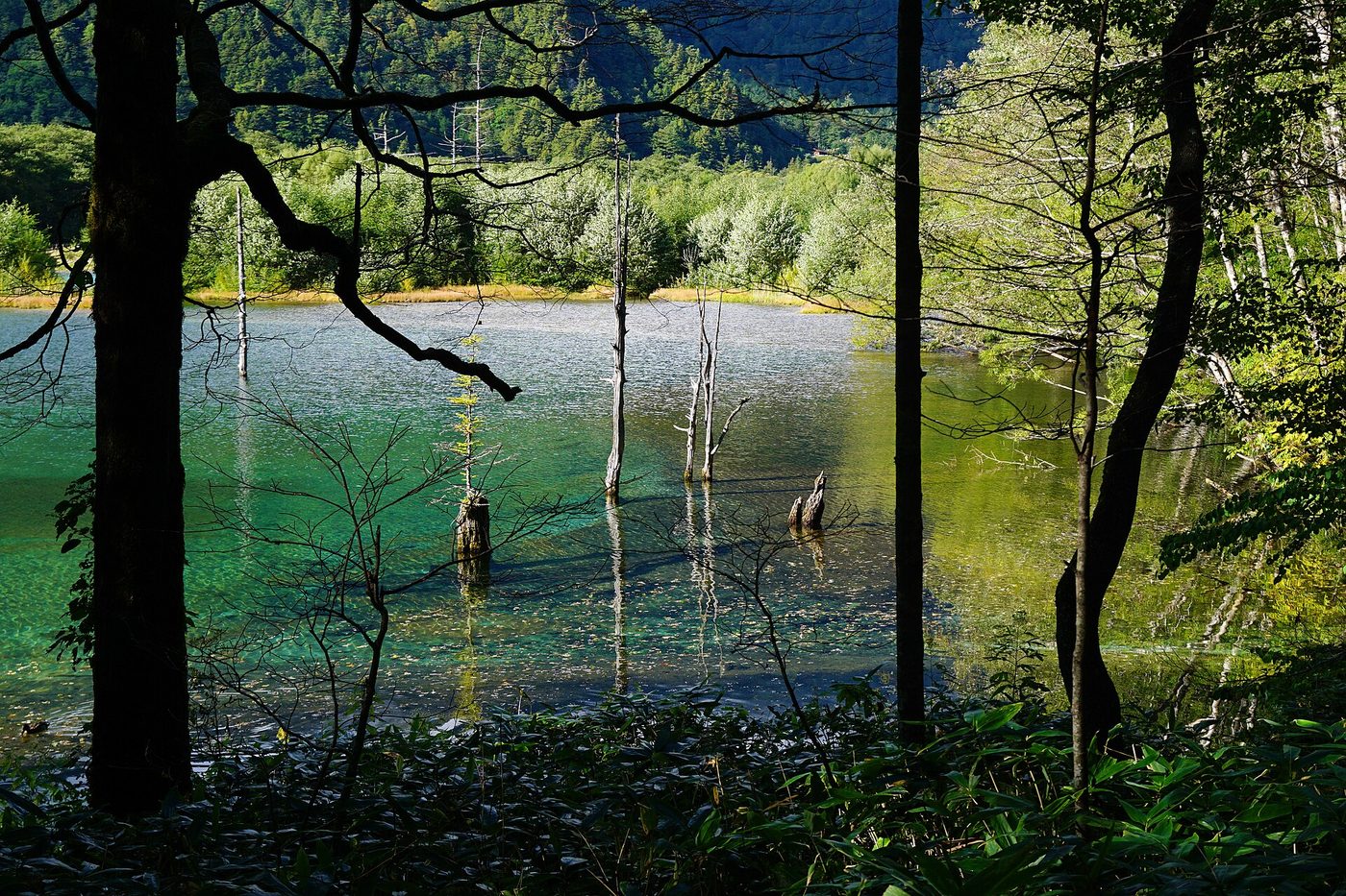 Kamikochi Taisho Pond