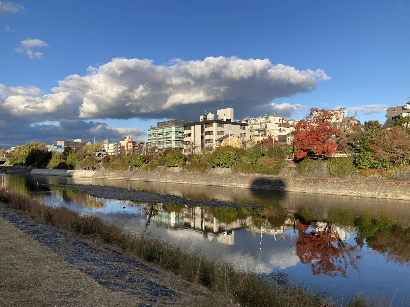 Kamo River Evening