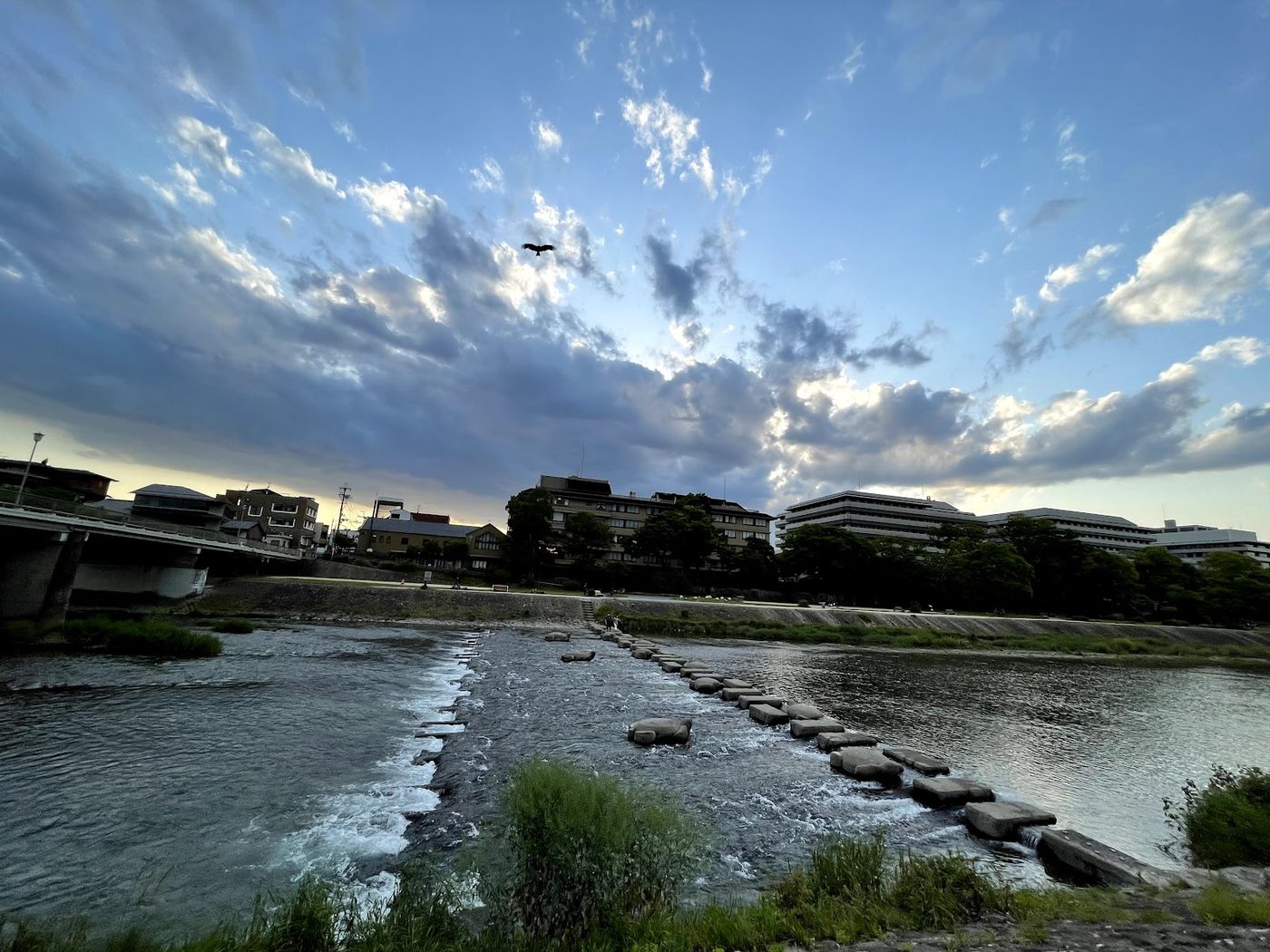 Kamo River Evening