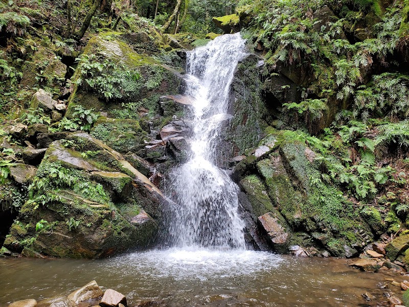 Kasugayama Primeval Forest