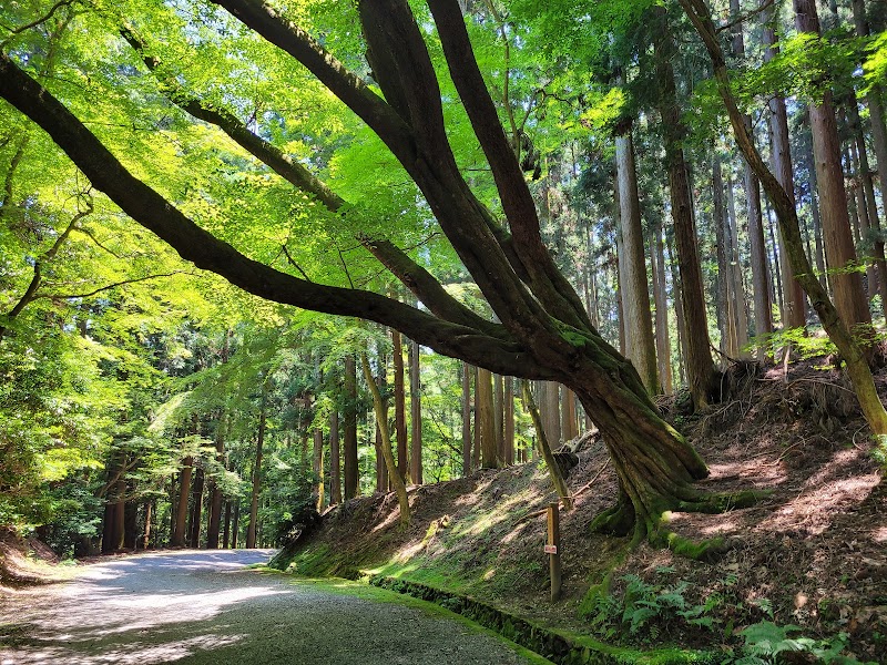 Kasugayama Primeval Forest