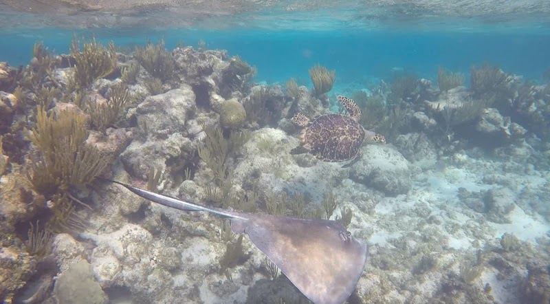 Kayak & Snorkel Eco Tour