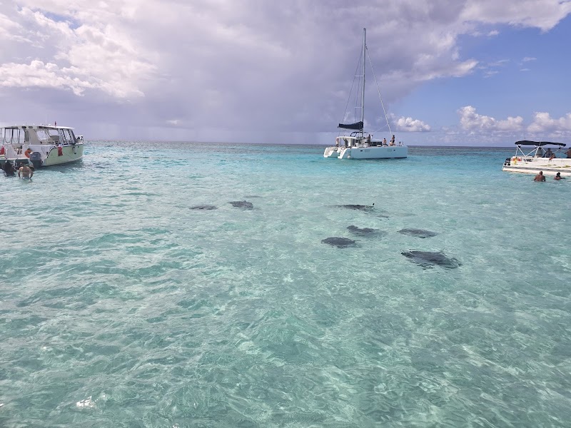 Kayak & Snorkel Eco Tour