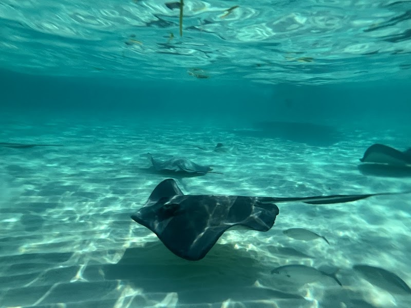 Kayak & Snorkel Eco Tour