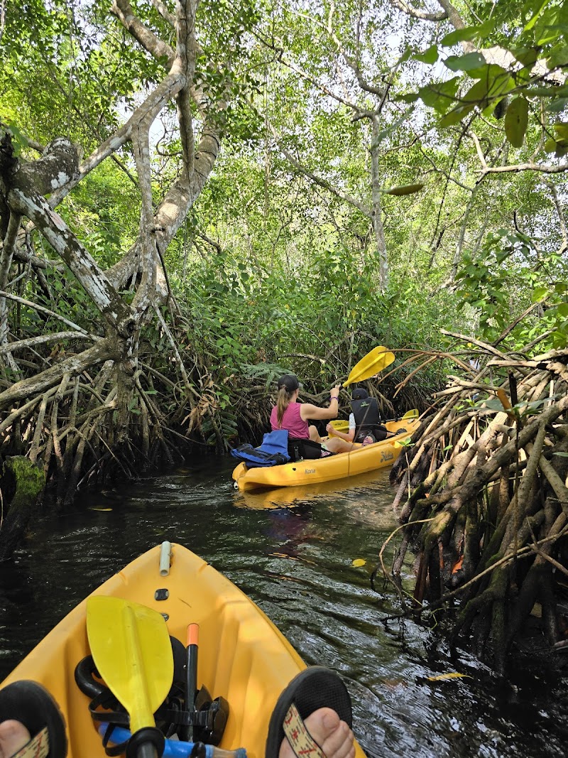 Kayaking Samaná Bay