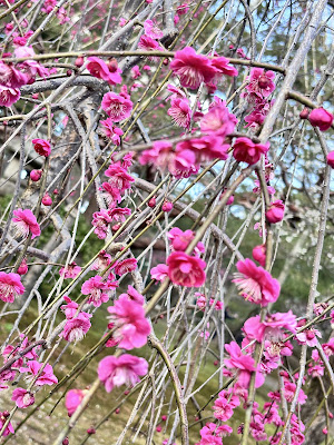 Kenrokuen Garden