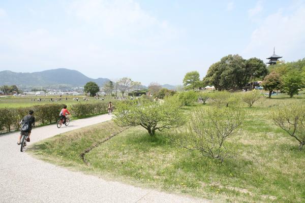 Kibiji Cycling Road