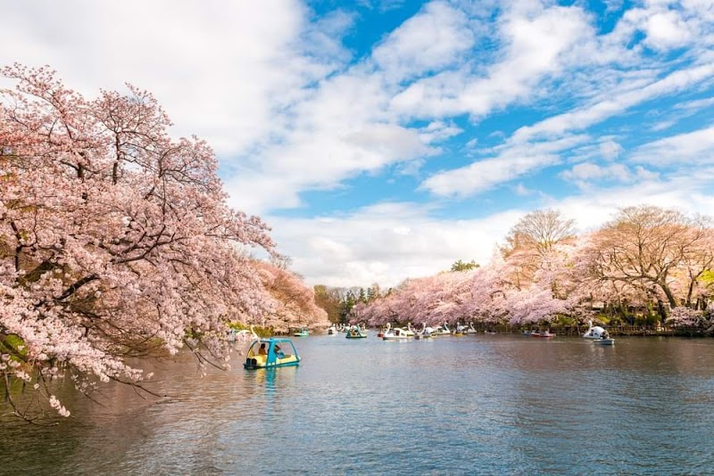 Kichijoji & Inokashira Park