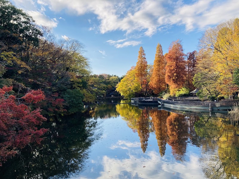 Kichijoji & Inokashira Park