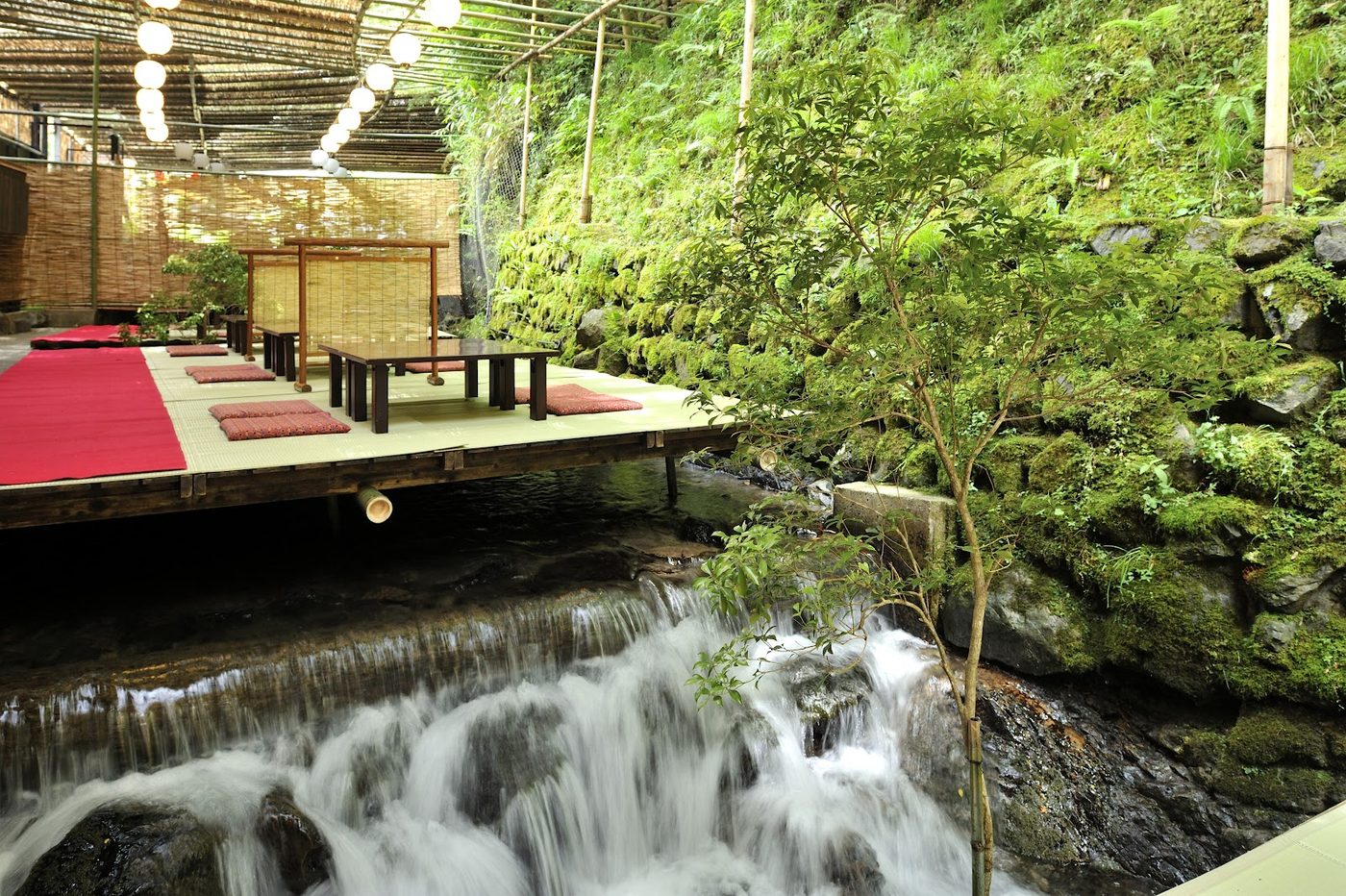 Kifune Shrine & Kawadoko Dining
