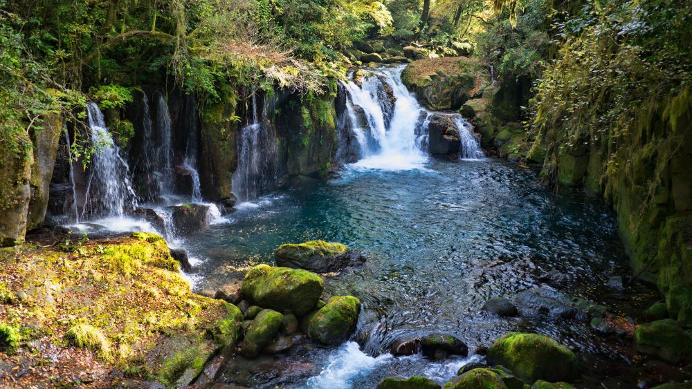 Kikuchi Valley