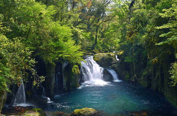 Kikuchi Valley